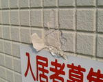 DSCF0040.JPG